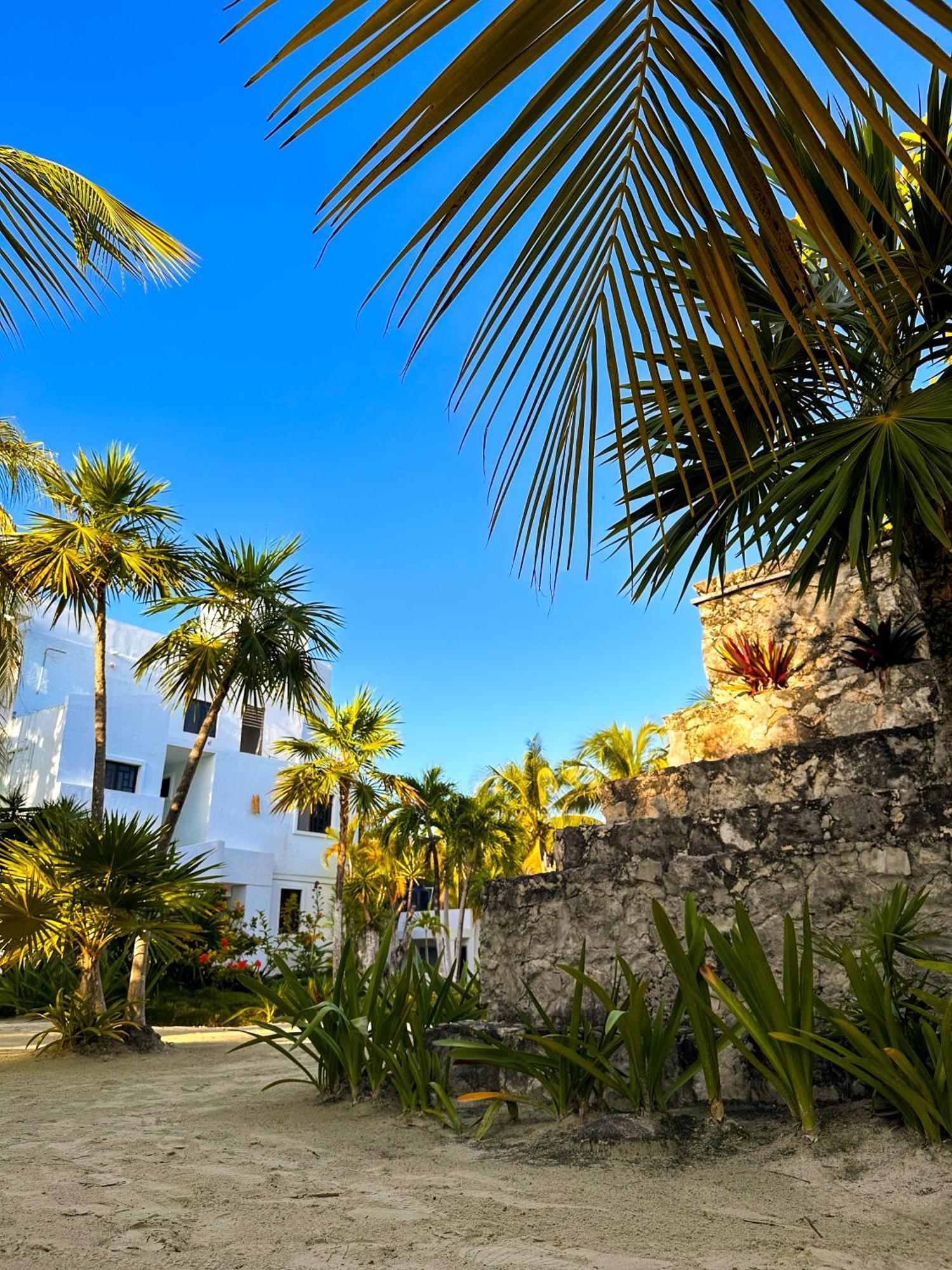 Alito Tulum Hotel Kültér fotó