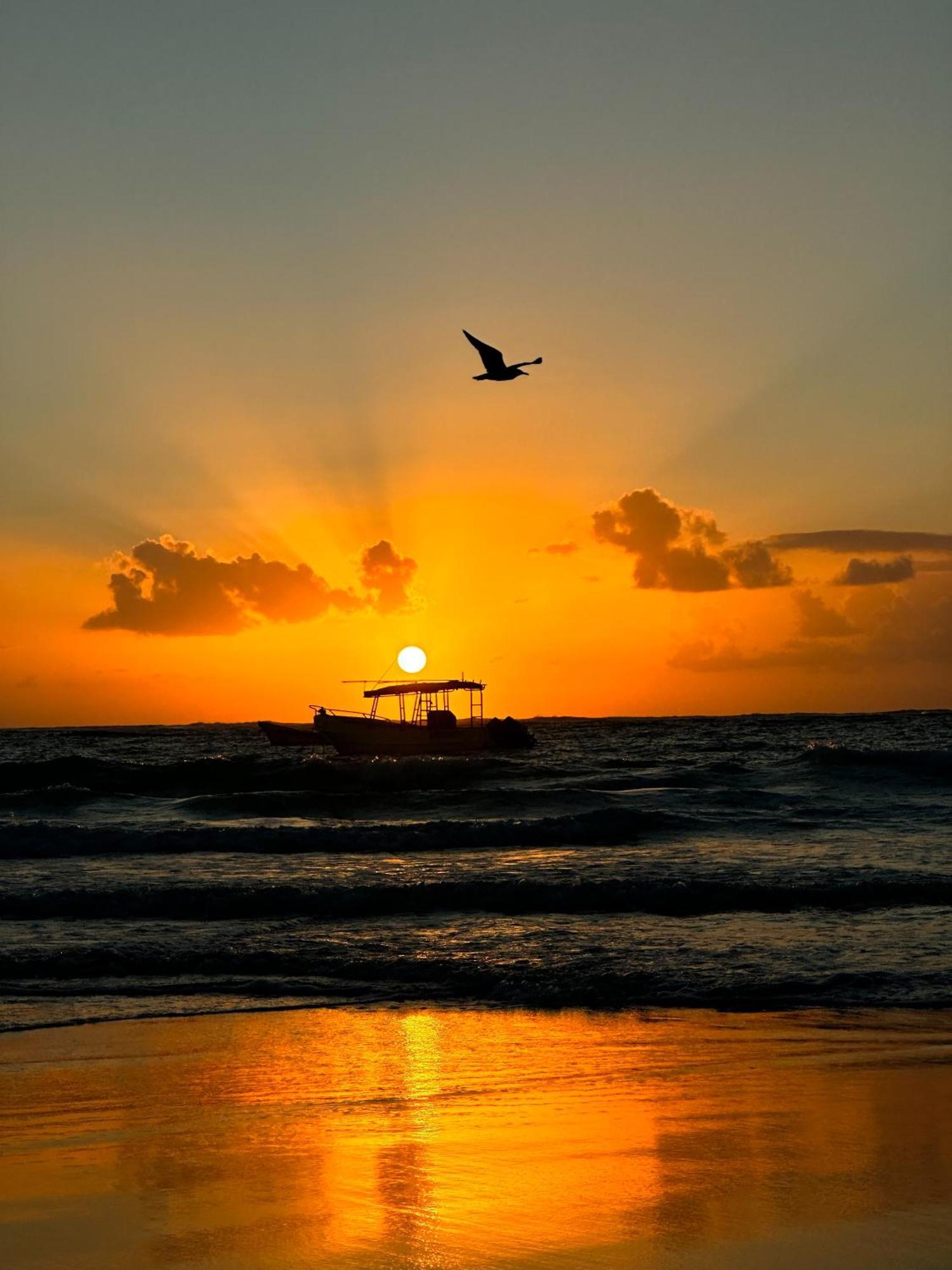 Alito Tulum Hotel Kültér fotó