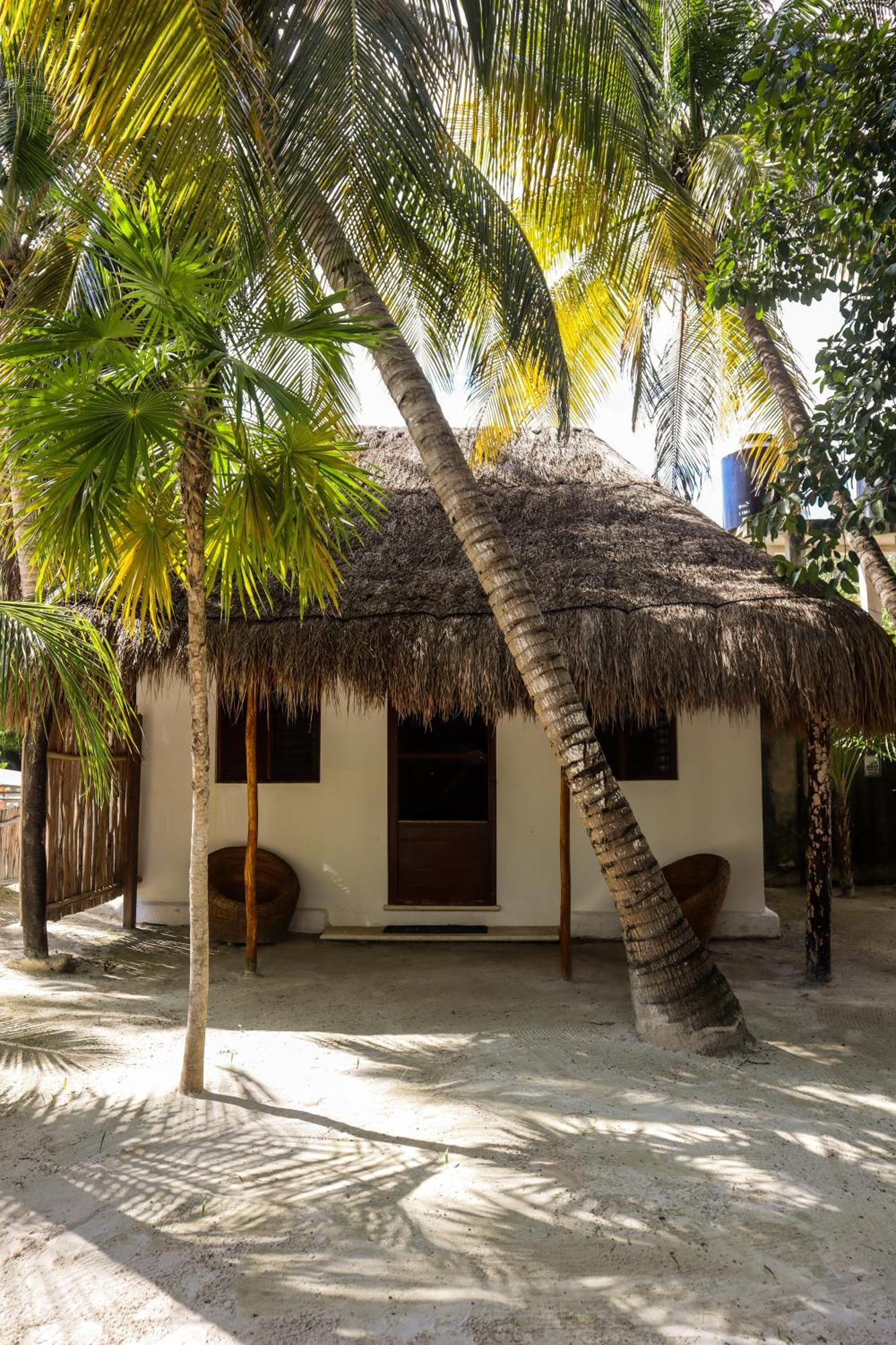 Alito Tulum Hotel Kültér fotó